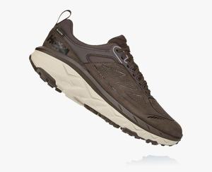 Hoka One One Men's Challenger Low GORE-TEX Trail Shoes Brown Canada Store [LGIUS-2049]